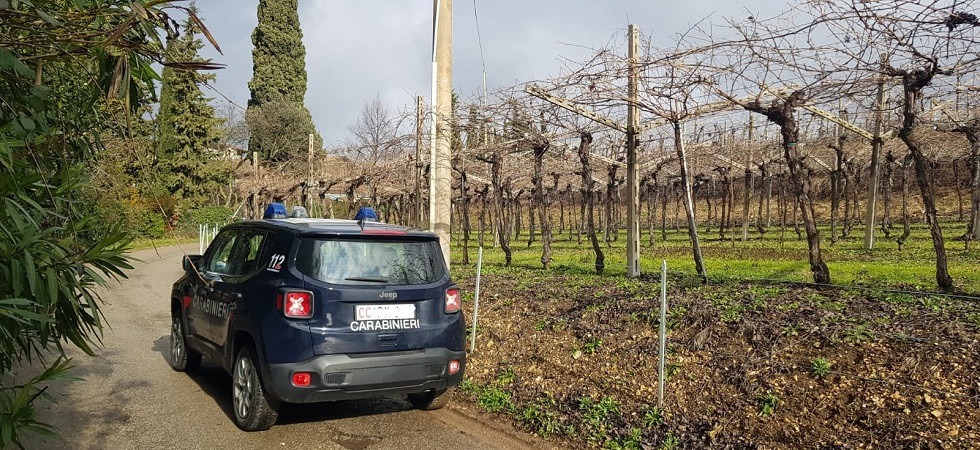 Rientrano in casa ma si accorgono che ci sono i ladri: i carabinieri circondano la zona e iniziano la caccia ai malviventi